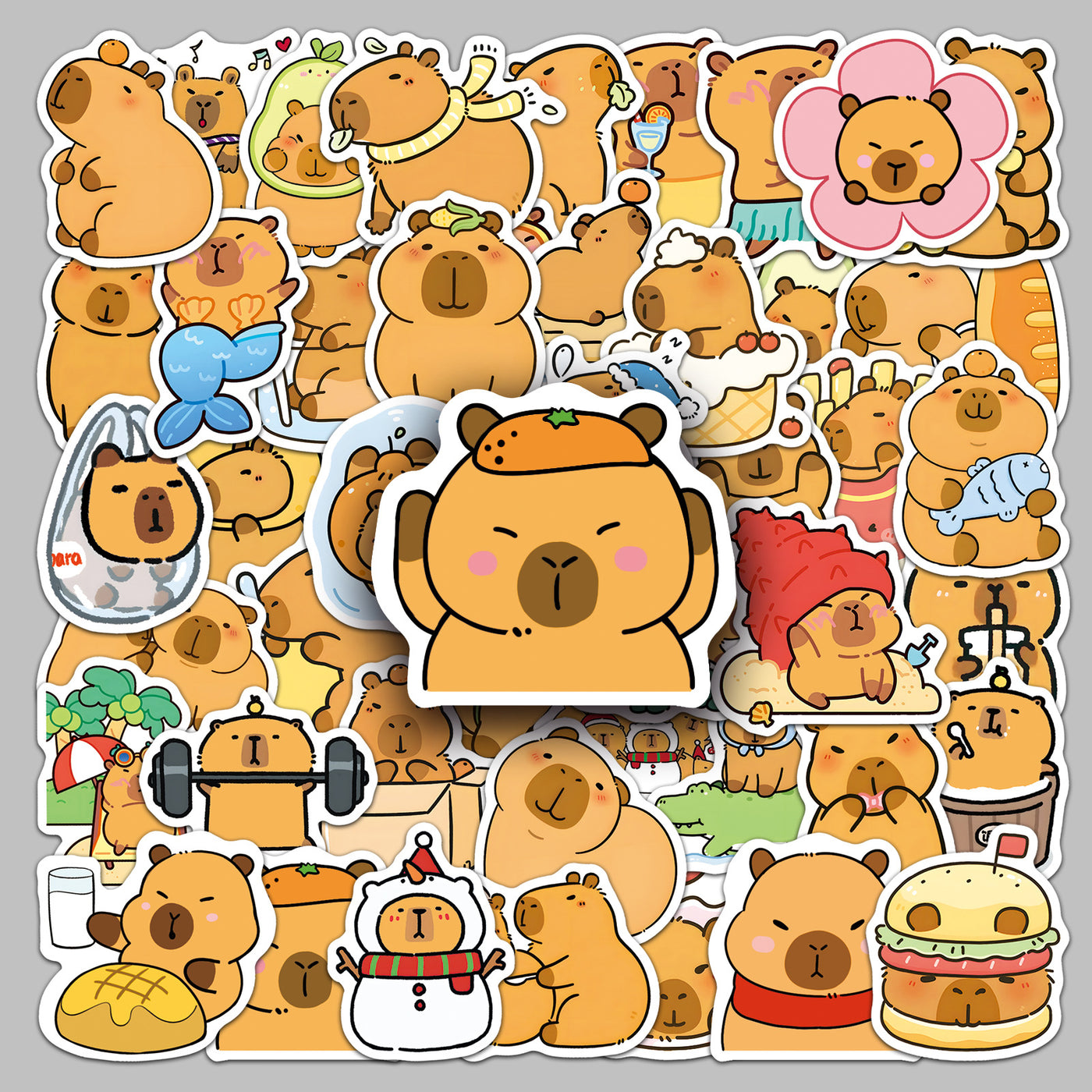 50 Pcs Capybara Stickers