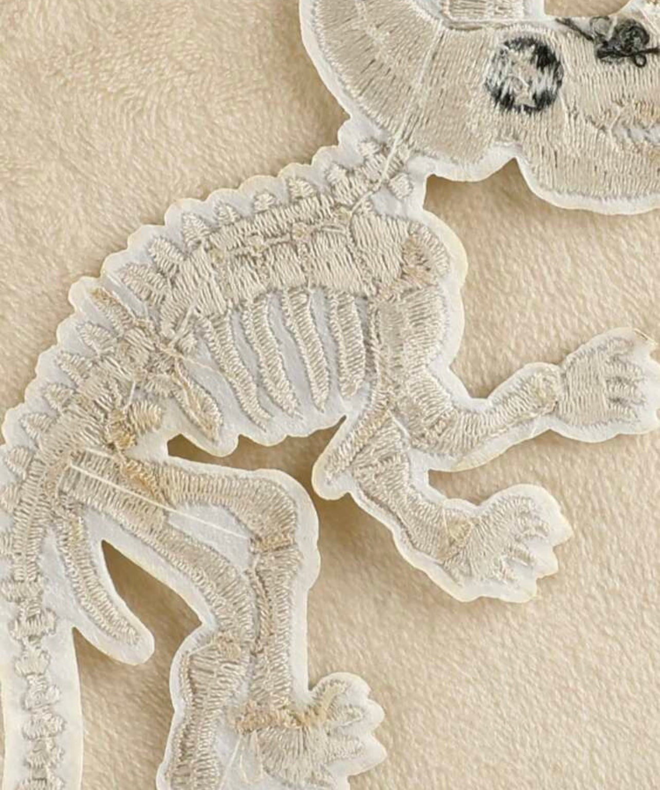 Dinosaur Fossil Patch