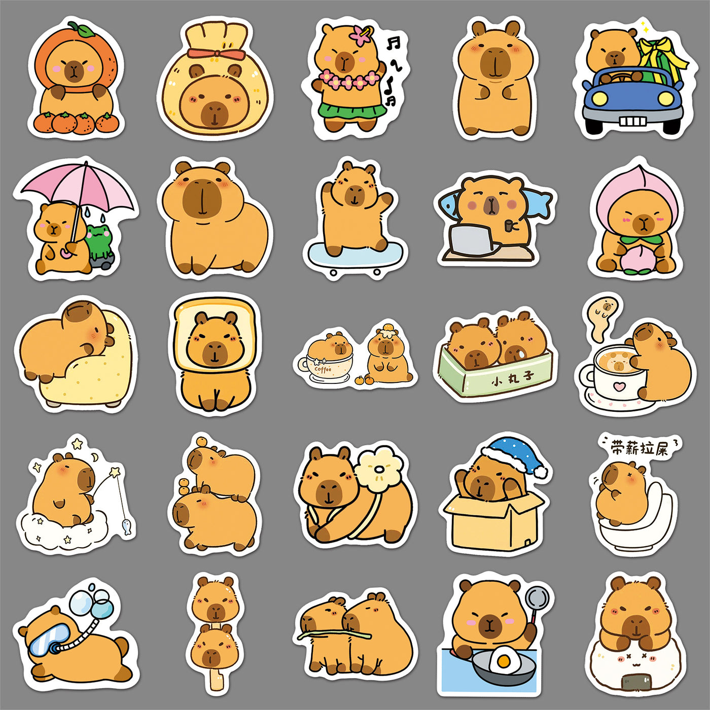 50 Pcs Capybara Stickers