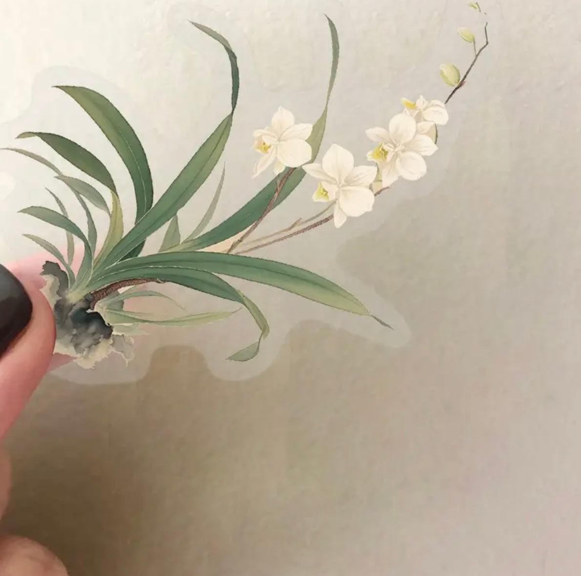 50 Pcs Orchid Flowers Vinyl Stickers