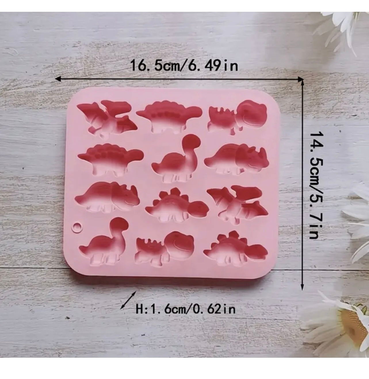 Dinosaur chocolate mould
