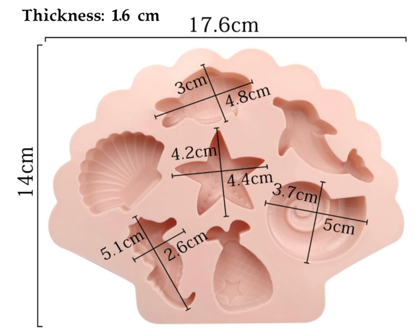 3D Sea Shell Silicone Chocolate Mould