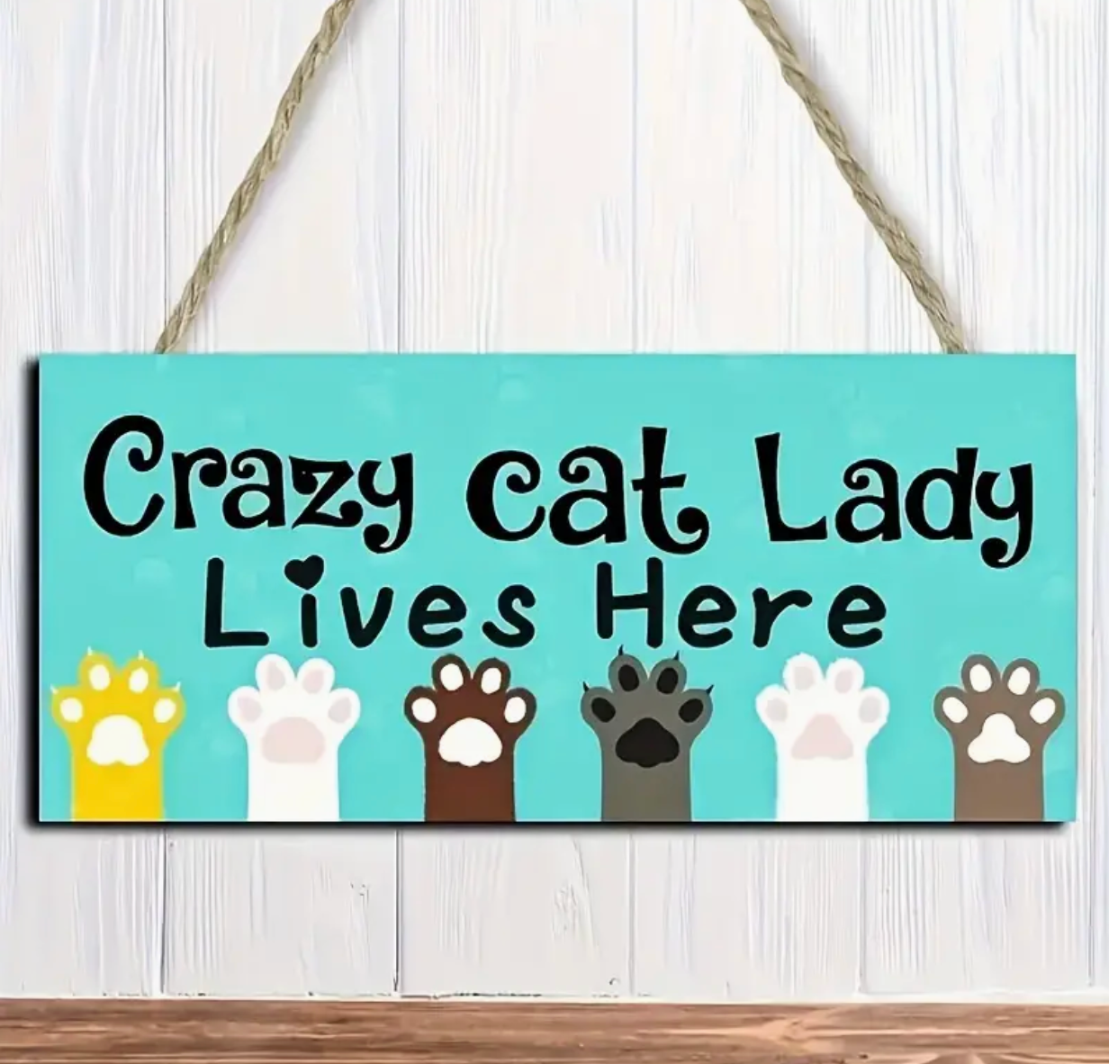 Crazy Cat Lady Lives Here - plaque