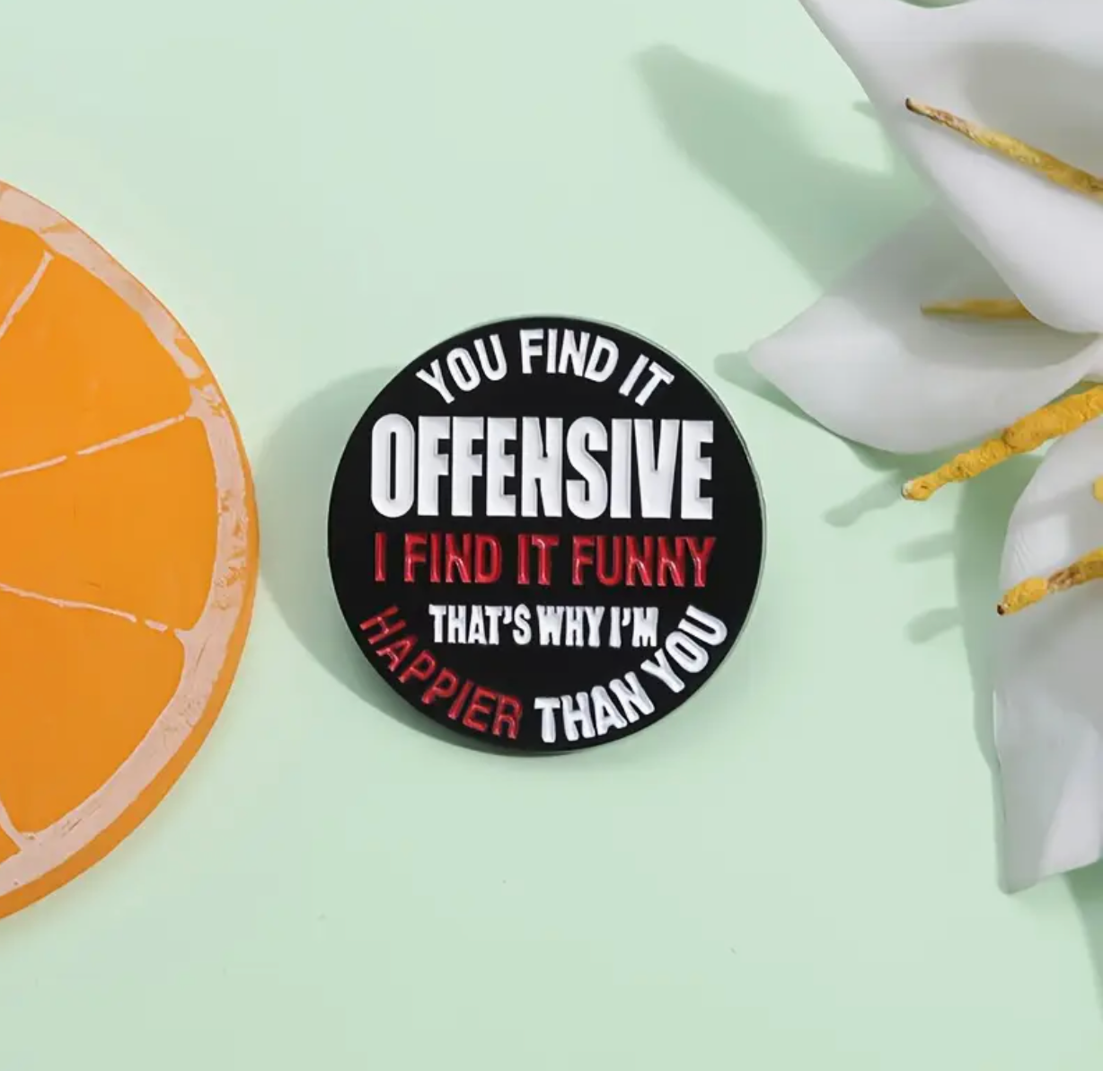 You Find It Offensive ,I Find It Funny Pin