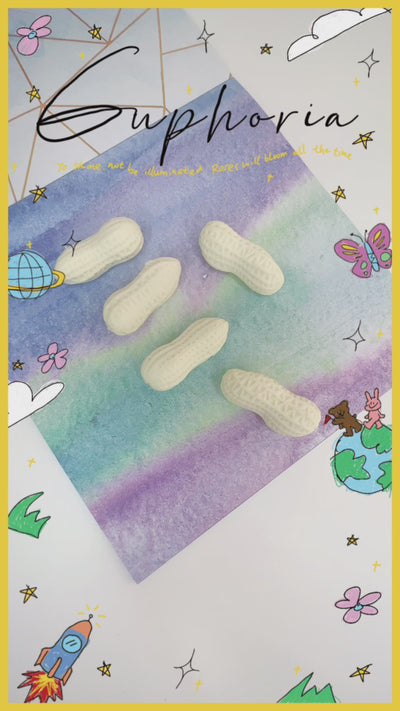 Cute peanut erasers