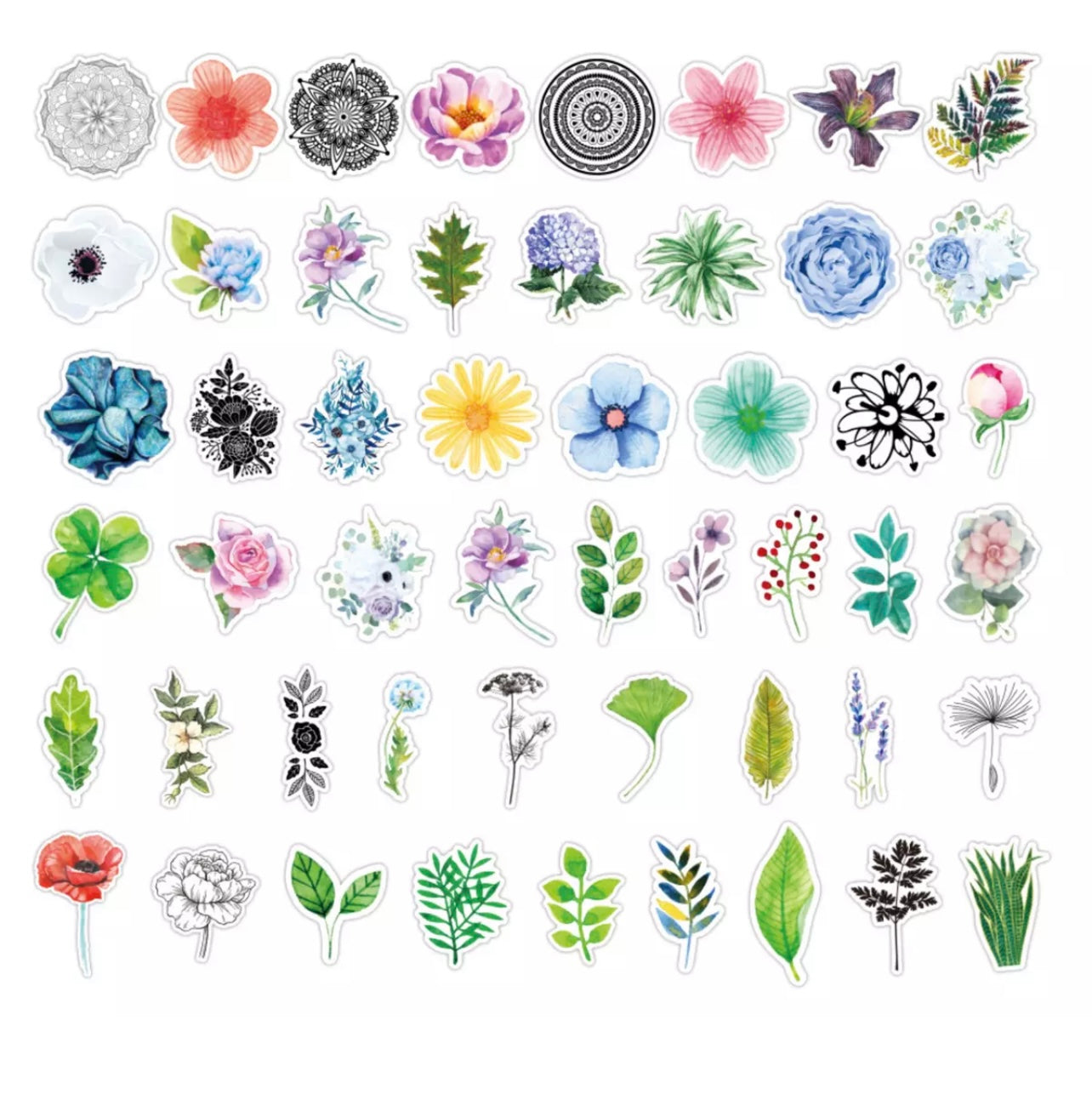 Garden Plants Skateboard Stickers | Plant Stickers | Milky Panda 