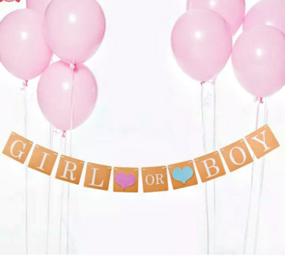 Baby Gender Reveal Party Banner